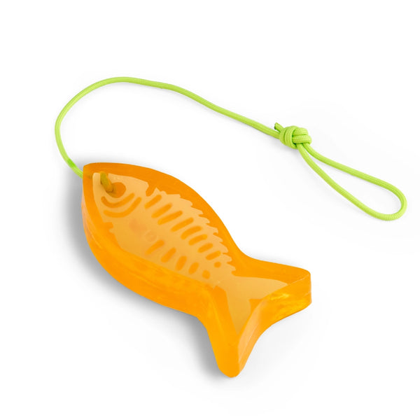 BONE-BONE FISH SOAP