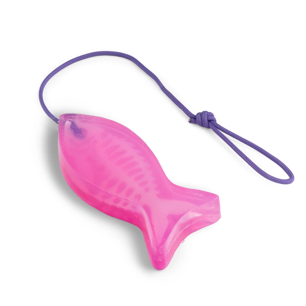 BONE-BONE FISH SOAP