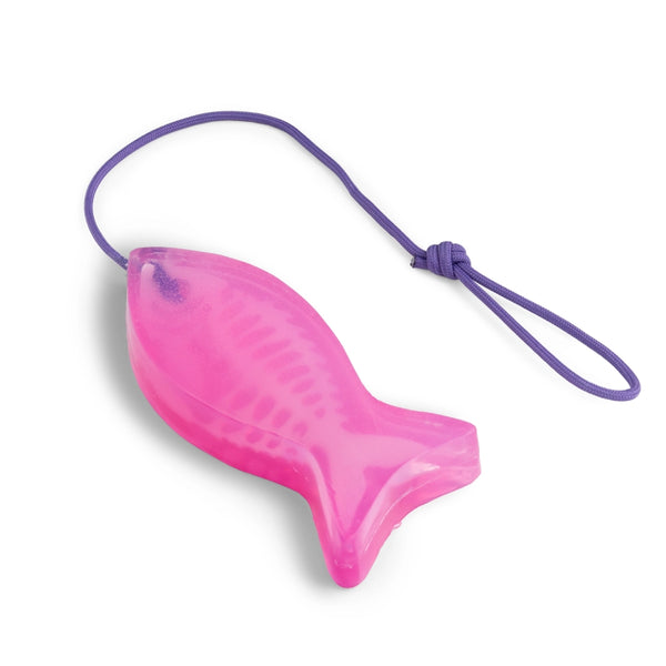 BONE-BONE FISH SOAP